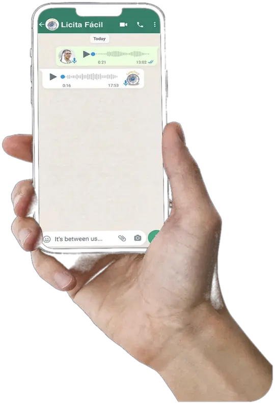 Conversa no WhatsApp com o Licita Fácil